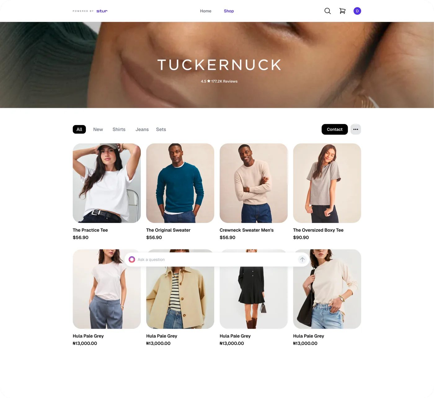Stur storefront UI preview